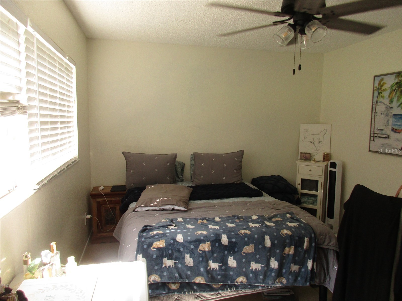 2465 Northside Drive #1901 Clearwater FL 33761 TB8520372 image13