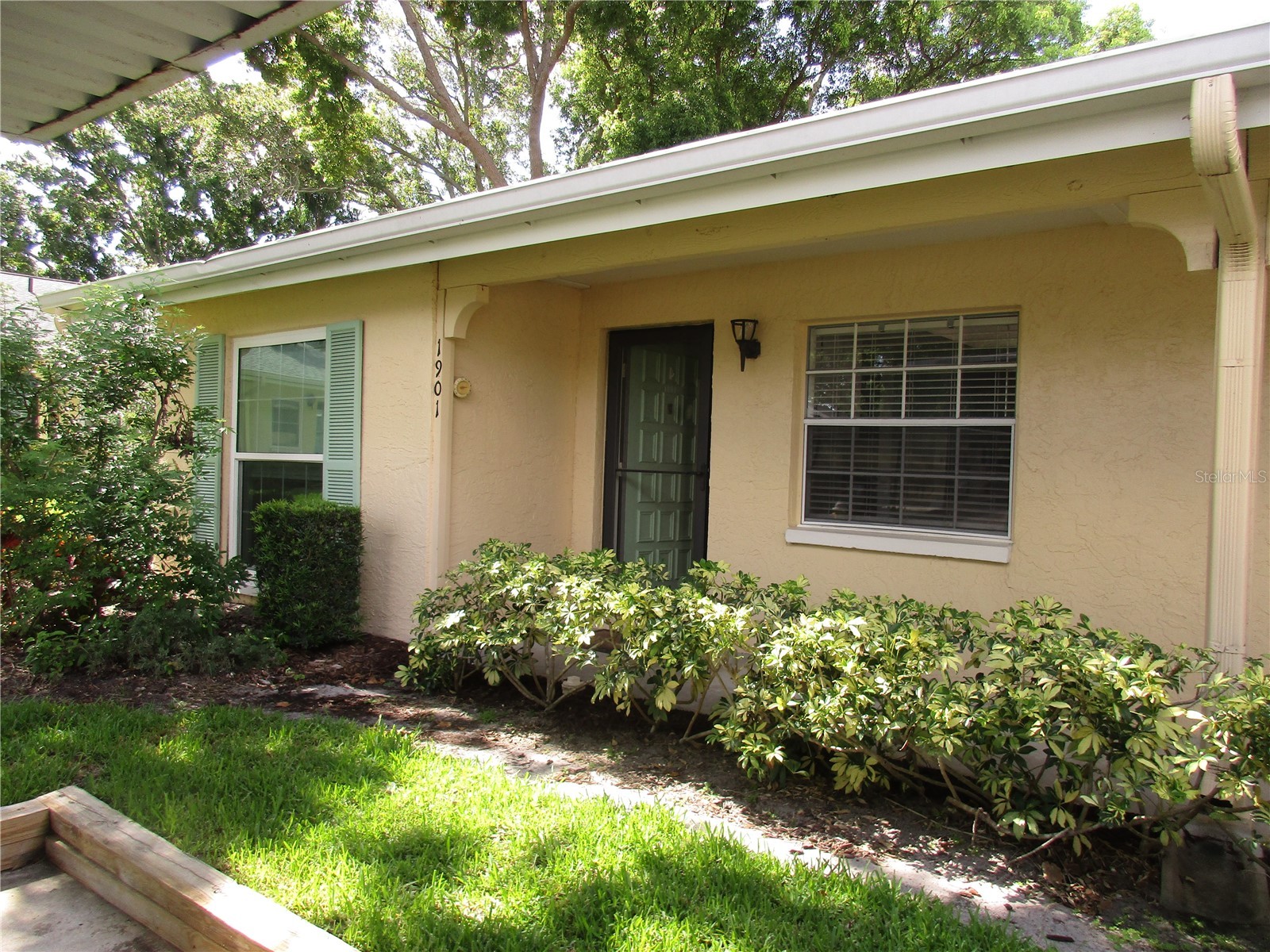 2465 Northside Drive #1901 Clearwater FL 33761 TB8520372 image3