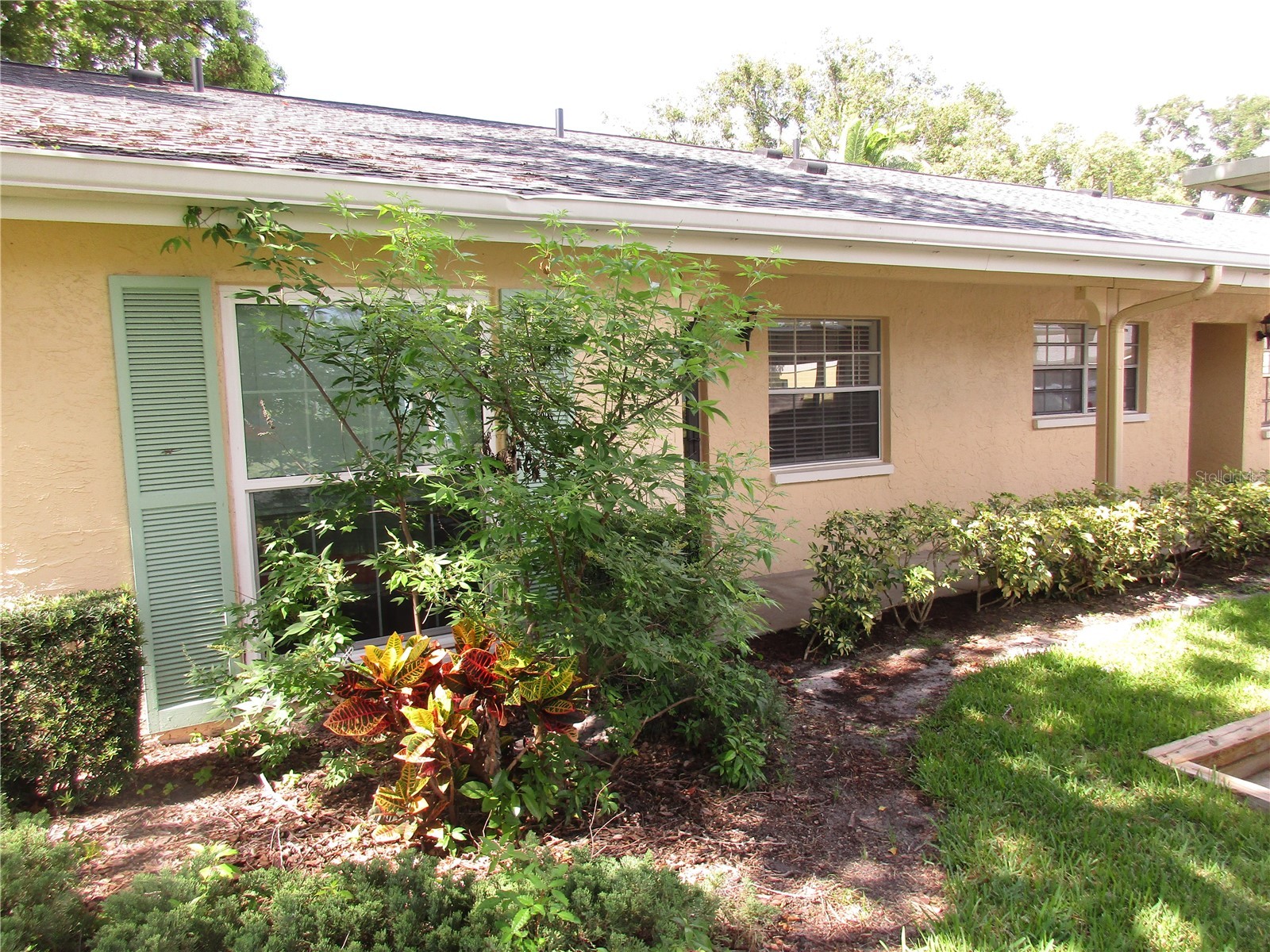 2465 Northside Drive #1901 Clearwater FL 33761 TB8520372 image4