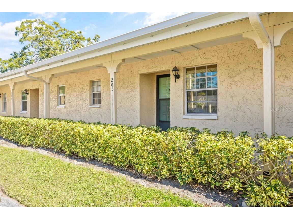 2465 Northside Drive #205 Clearwater FL 33761 TB8325695 image1