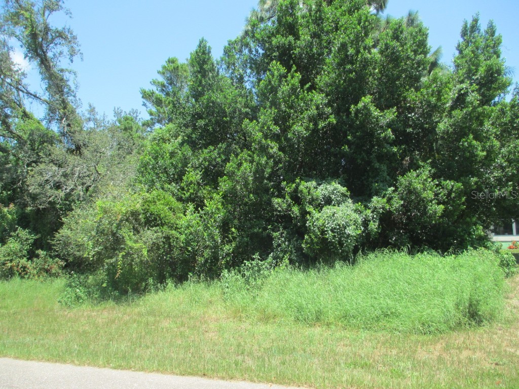 2466 Comerwood Drive Spring Hill FL 34609 OM662338 image1
