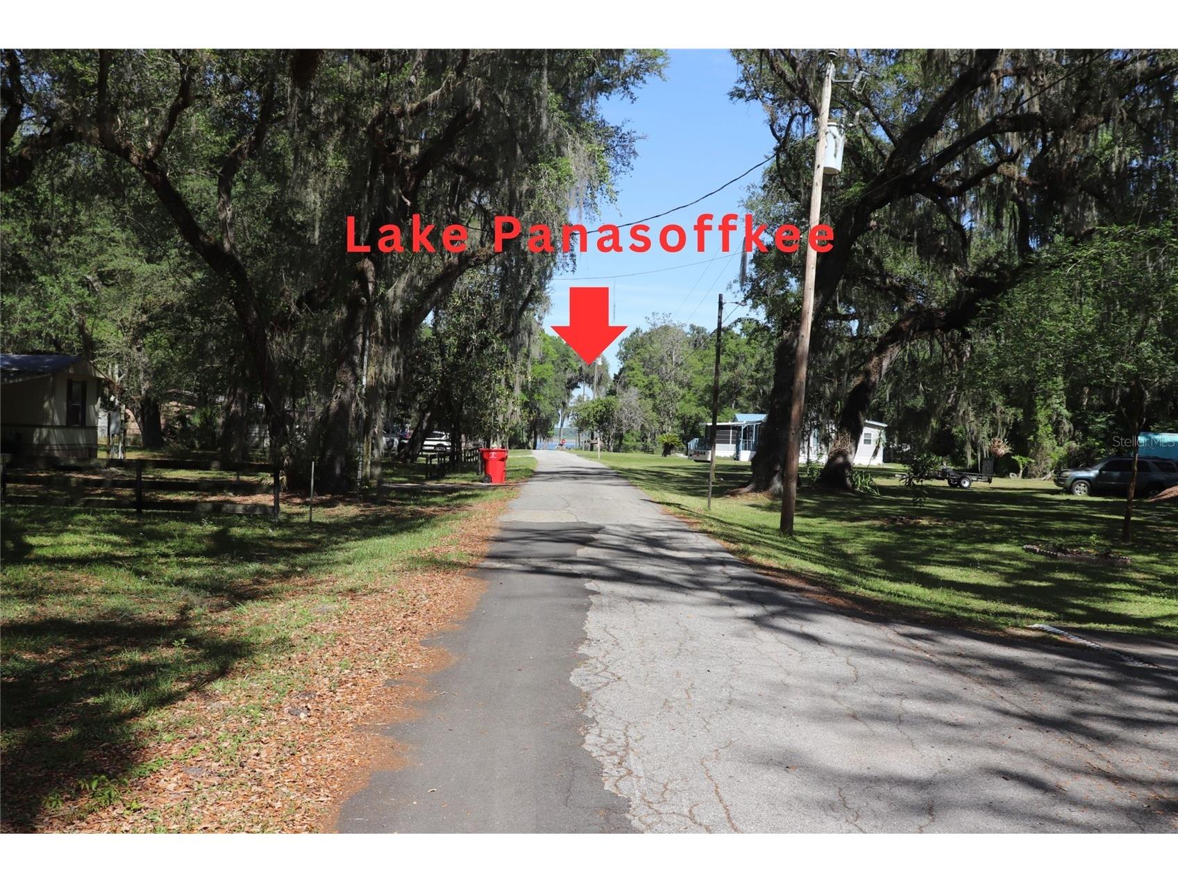 2466 Cr 401a Lake Panasoffkee FL 33538 A4690801 image3