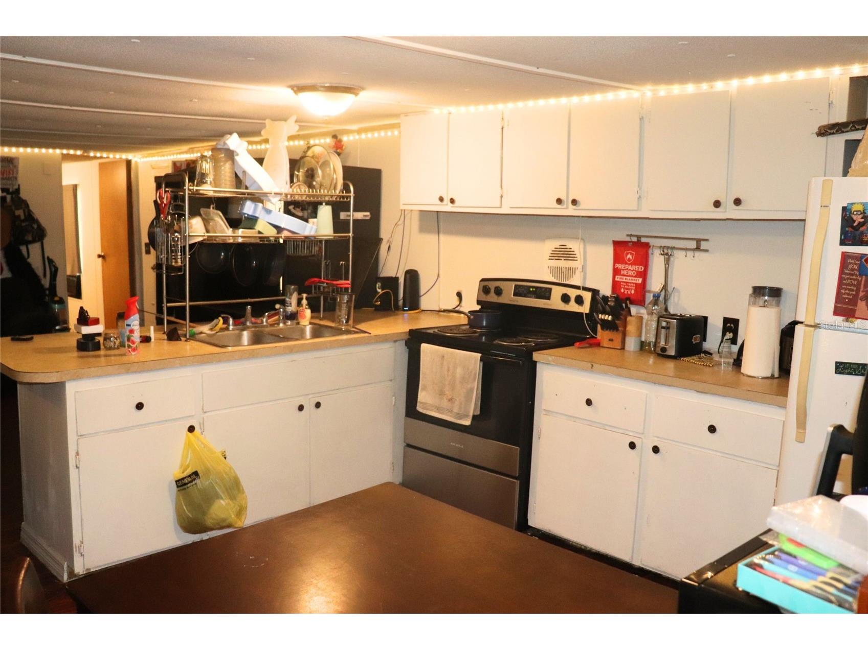 2466 Cr 401a Lake Panasoffkee FL 33538 A4690801 image6