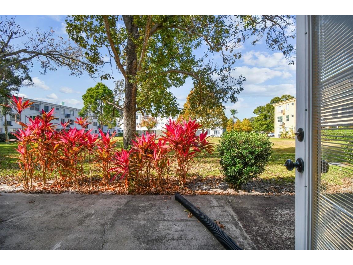 2466 Ecuadorian Way #6 Clearwater FL 33763 TB8451282 image30