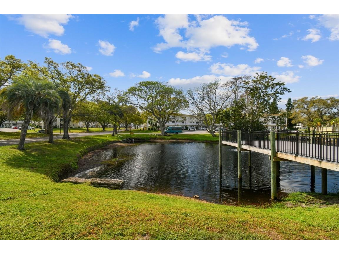 2466 Ecuadorian Way #6 Clearwater FL 33763 TB8451282 image62