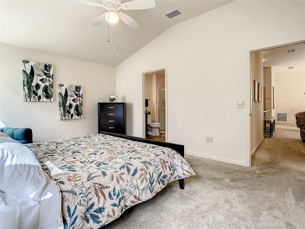 2466 Soper Street The Villages FL 32163 G5099735 image24