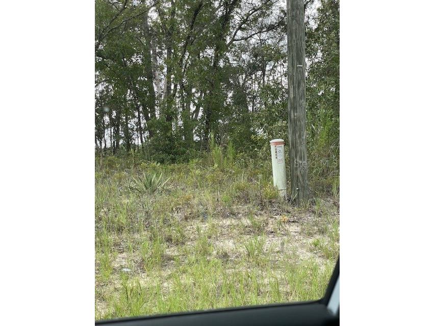 2466 W Rutland Drive Citrus Springs FL 34434 TB8304048 image1