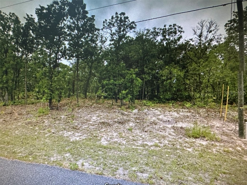 2466 W Swanson Drive Citrus Springs FL 34434 A4603497 image1
