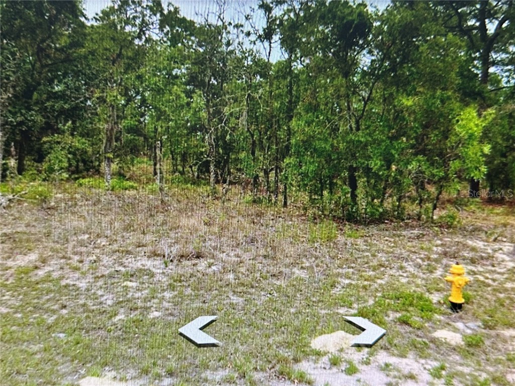 2466 W Swanson Drive Citrus Springs FL 34434 A4603497 image2