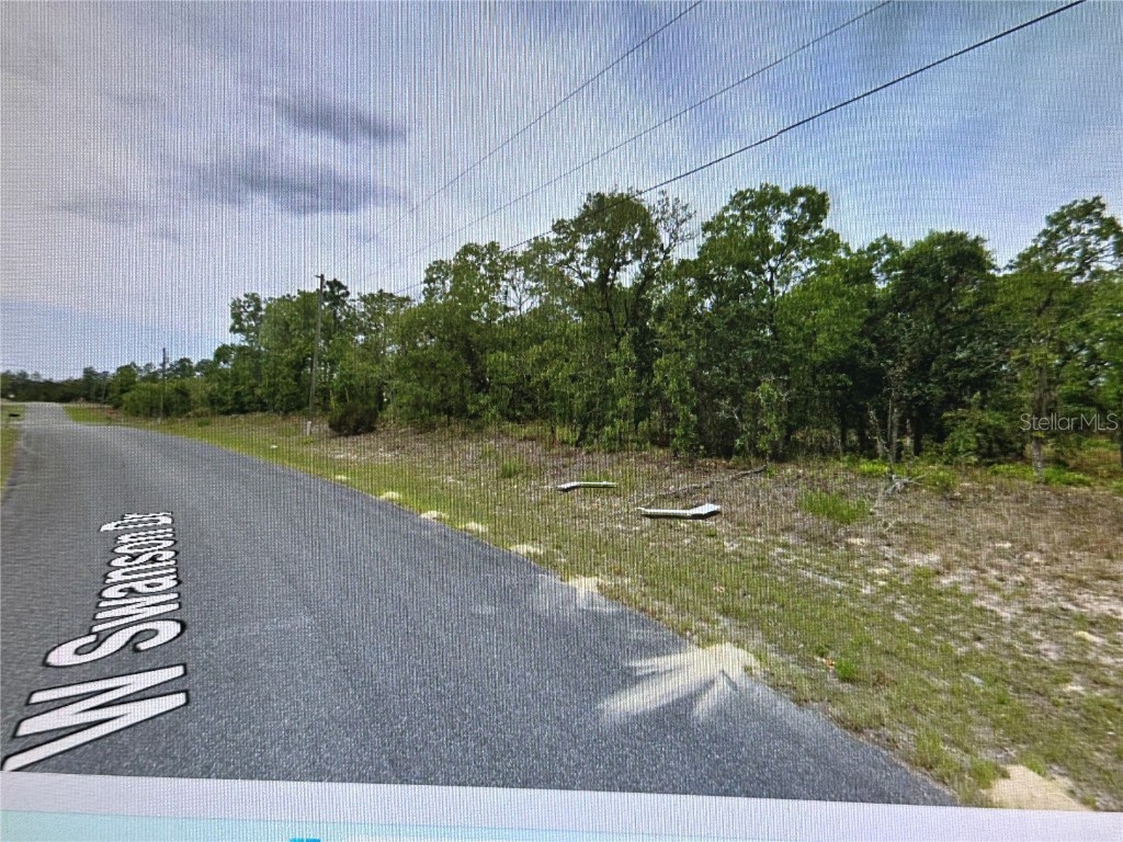 2466 W Swanson Drive Citrus Springs FL 34434 A4603497 image5