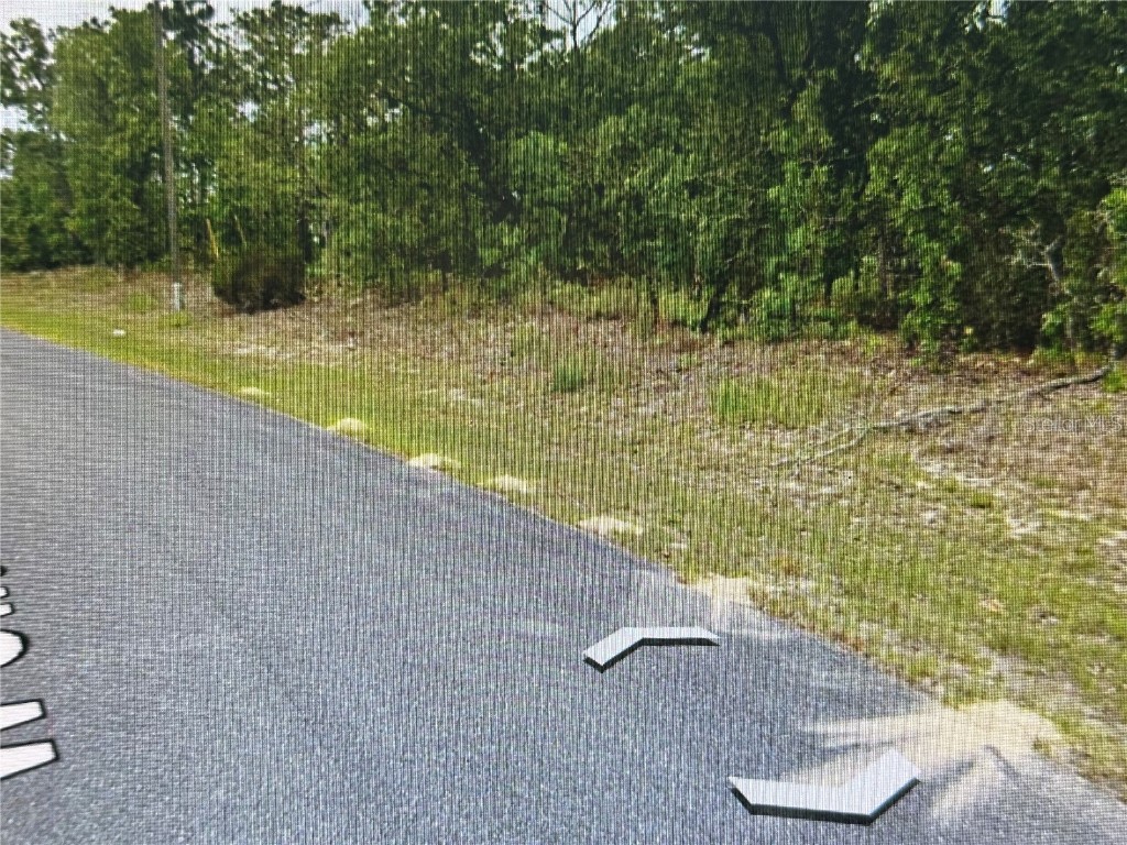 2466 W Swanson Drive Citrus Springs FL 34434 A4603497 image6