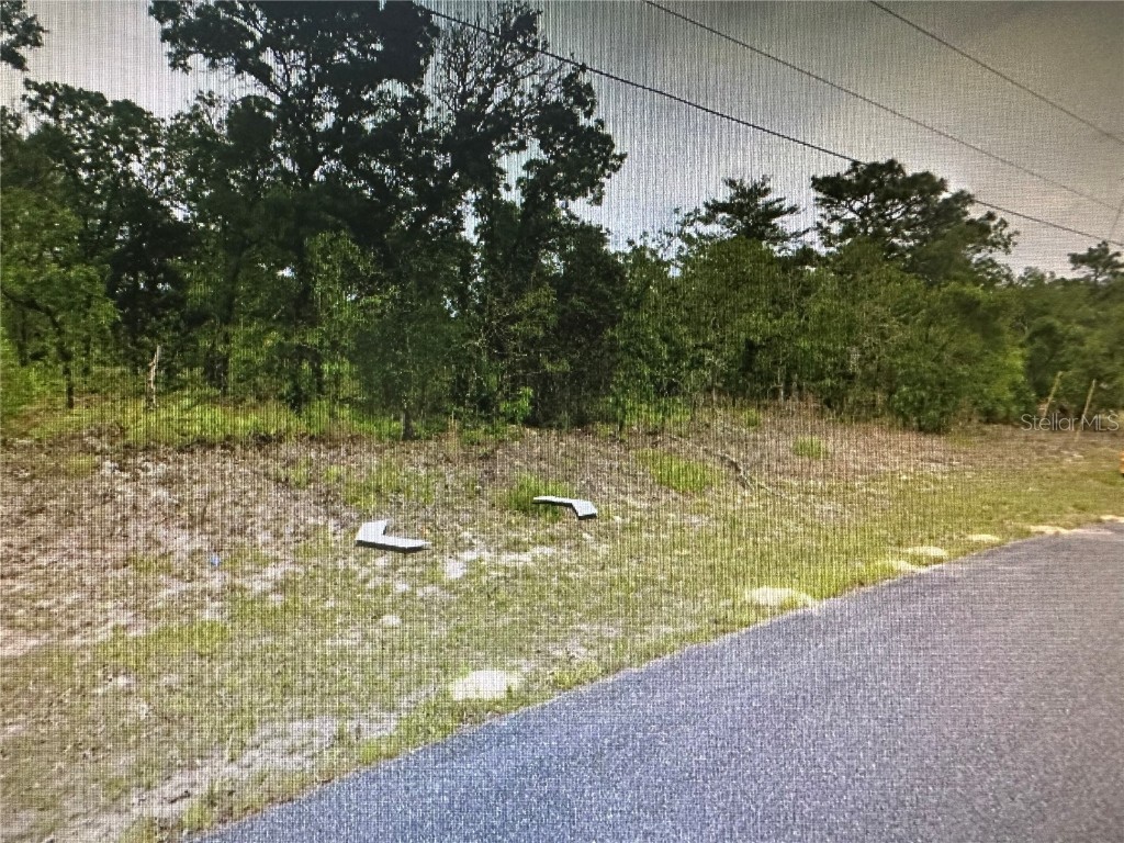 2466 W Swanson Drive Citrus Springs FL 34434 A4603497 image8