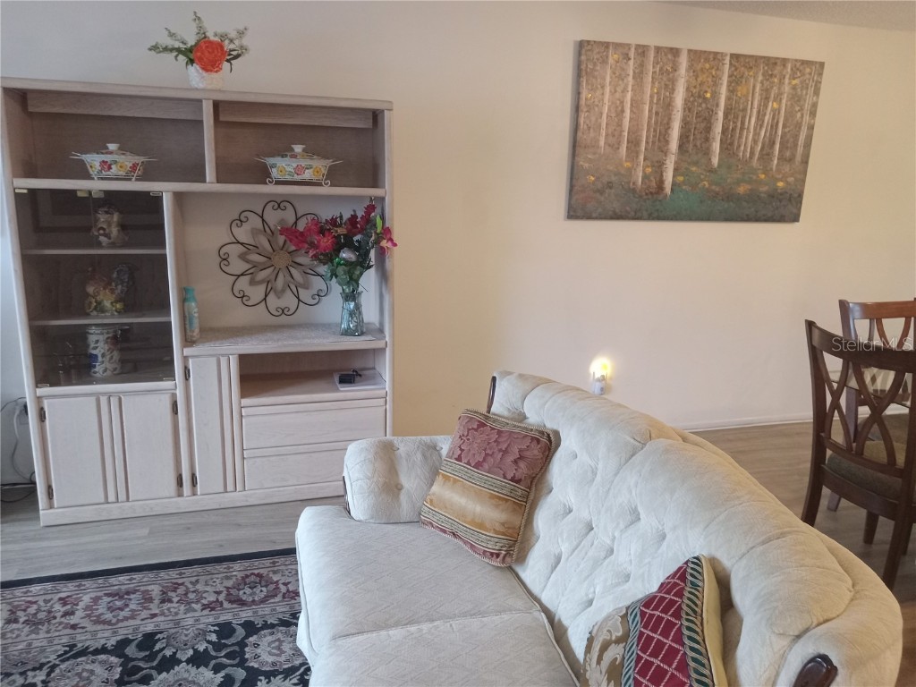 2467 Finlandia Lane #27 Clearwater FL 33763 TB8410317 image8