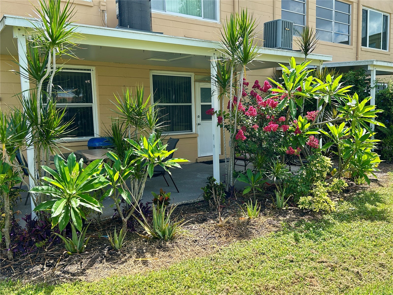2467 Finlandia Lane #27 Clearwater FL 33763 TB8521887 image31