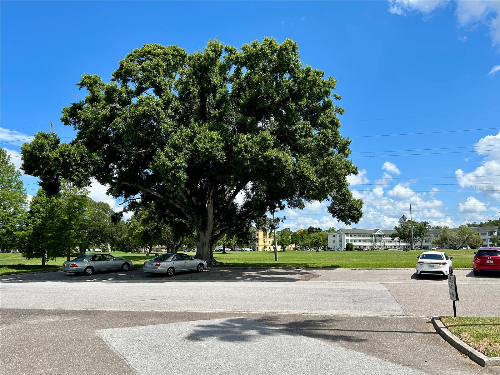 2467 Finlandia Lane #27 Clearwater FL 33763 TB8521887 image33