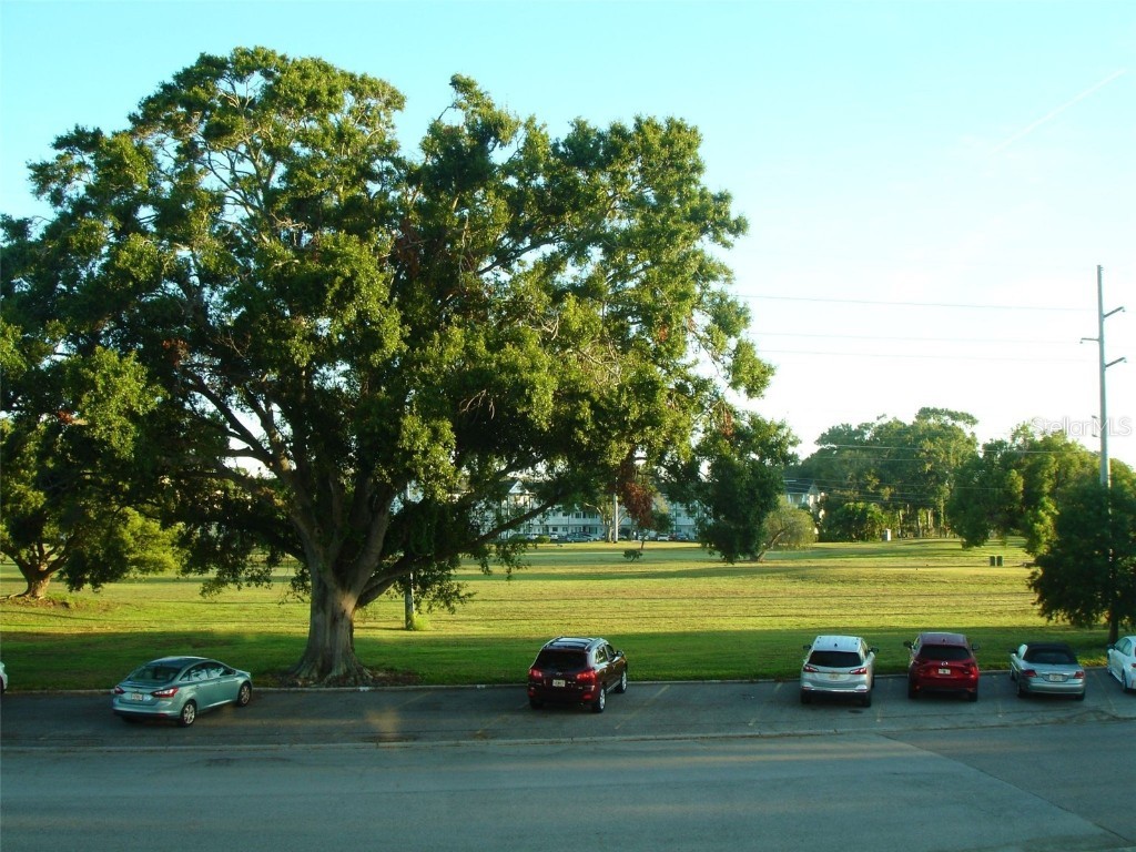 2467 Finlandia Lane #57 Clearwater FL 33763 TB8434227 image2