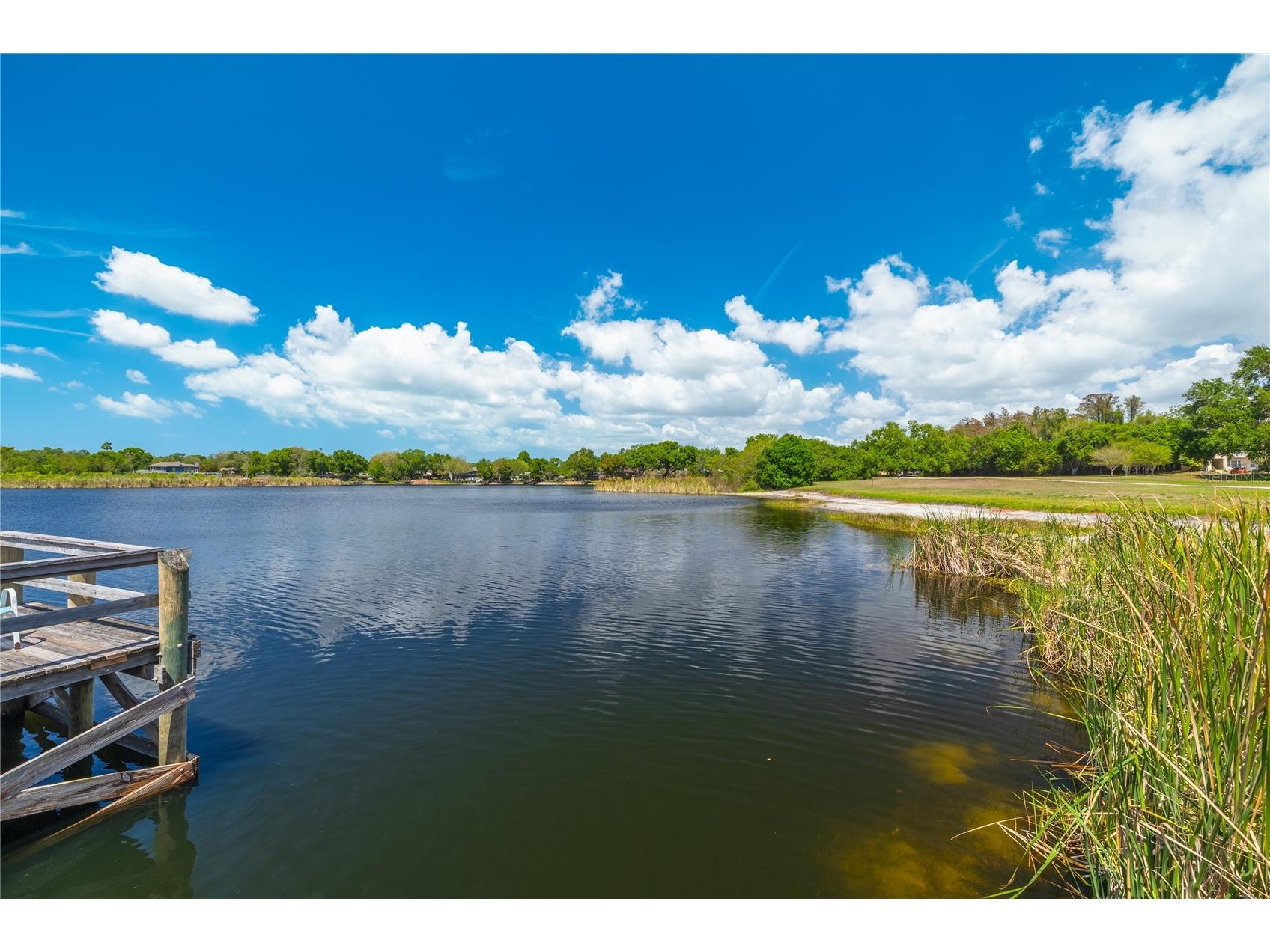 2468 Florentine Way #34 Clearwater FL 33763 TB8491637 image27