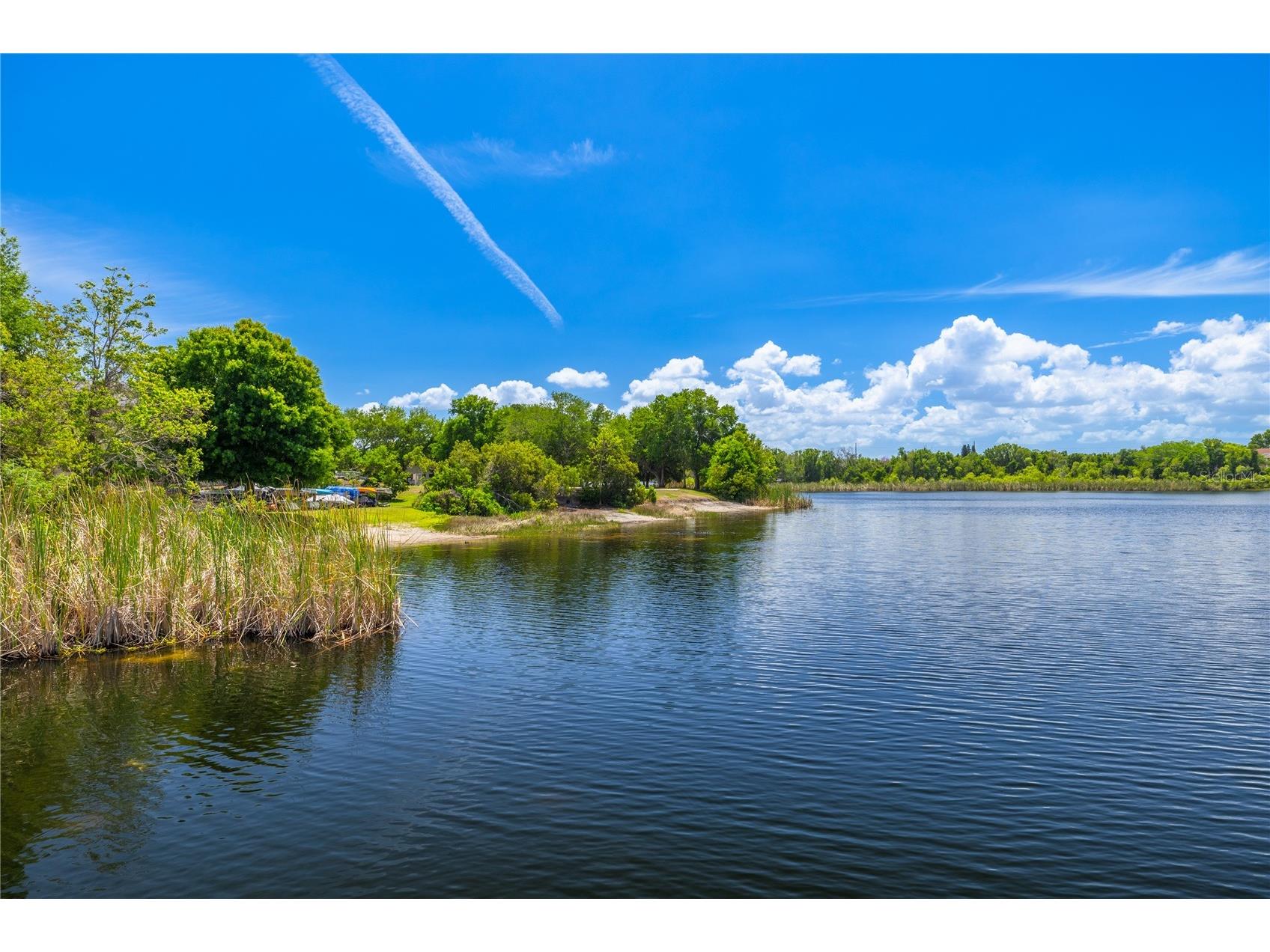 2468 Florentine Way #34 Clearwater FL 33763 TB8491637 image28