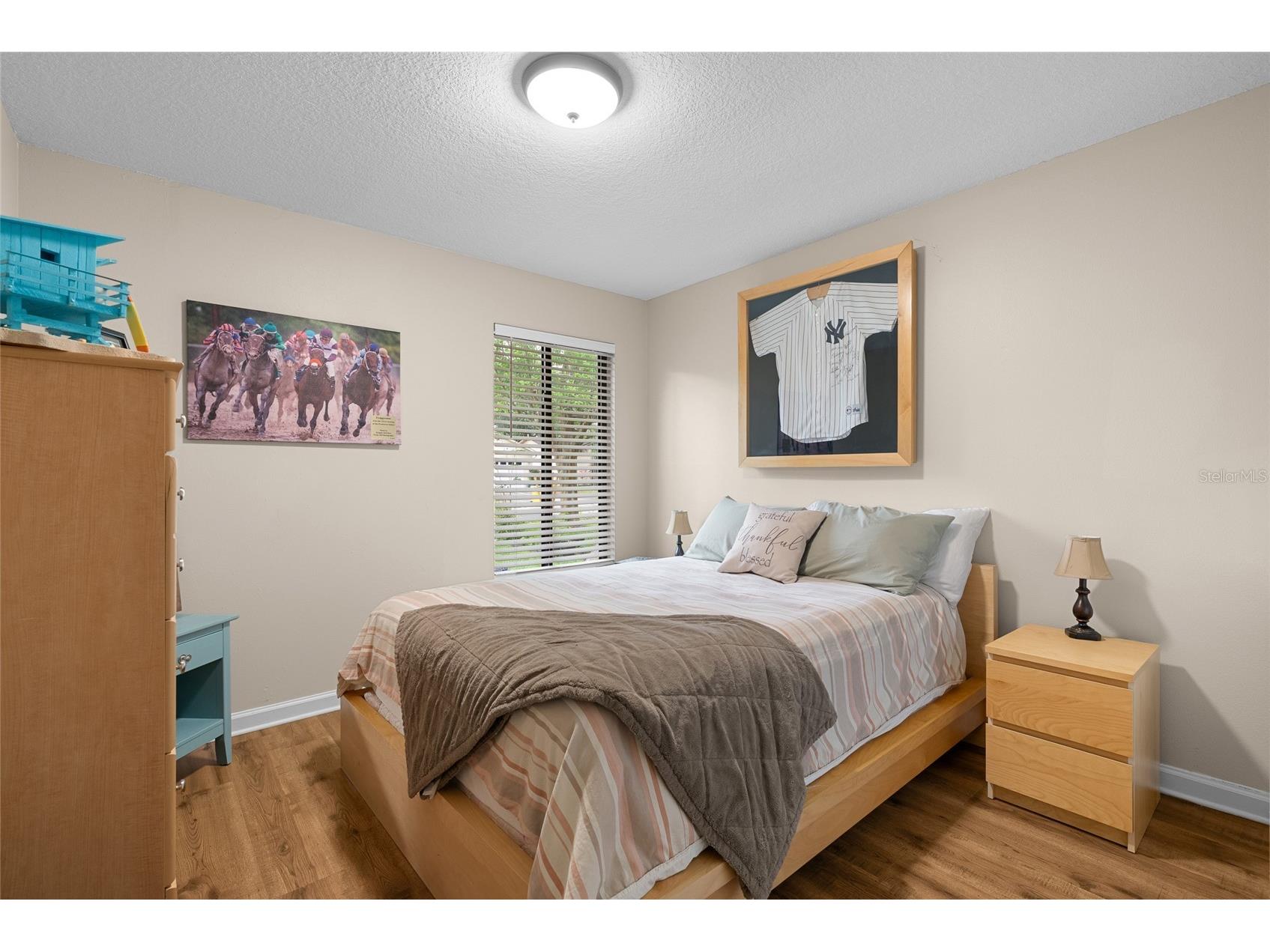 2468 Gulfbreeze Circle Palm Harbor FL 34683 TB8492140 image21