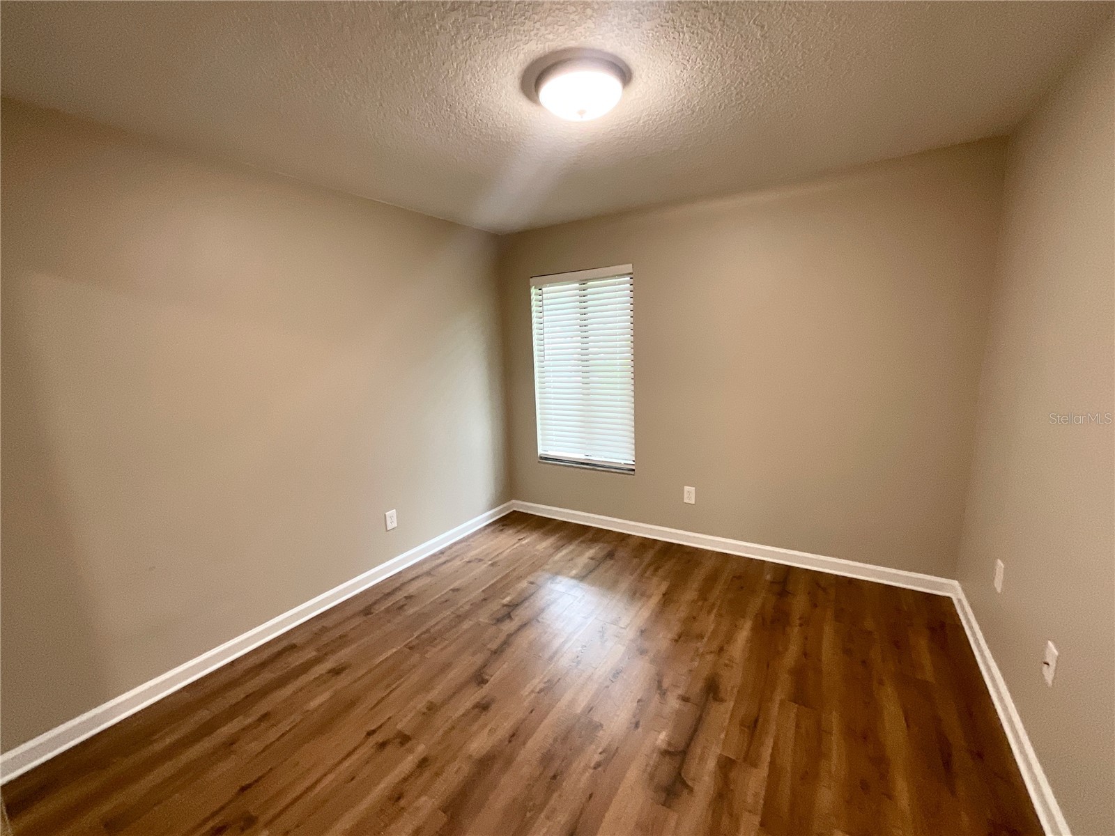 2468 Gulfbreeze Circle Palm Harbor FL 34683 TB8515113 image21