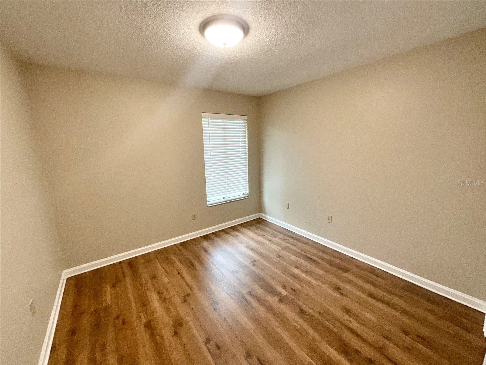 2468 Gulfbreeze Circle Palm Harbor FL 34683 TB8515113 image22