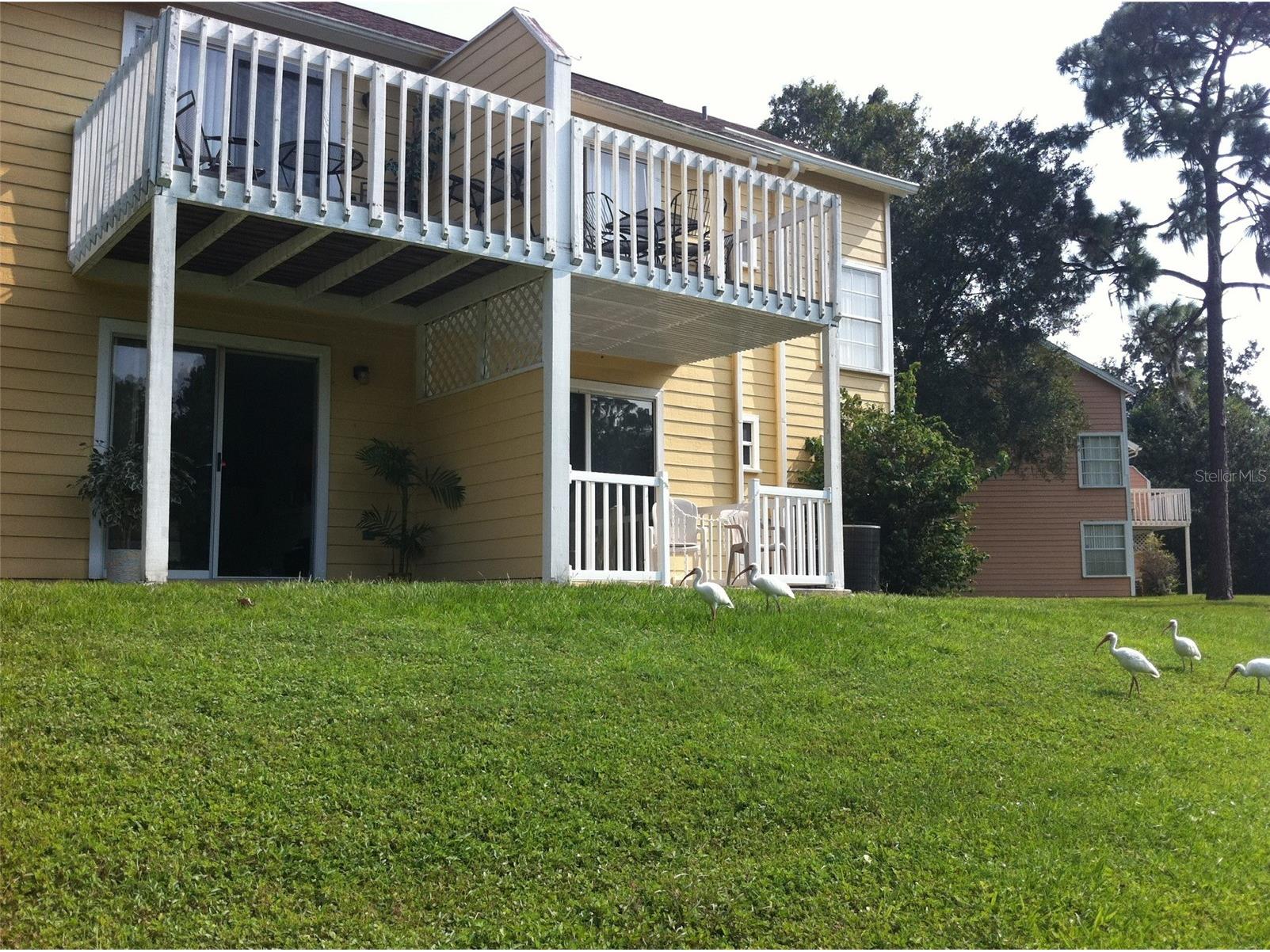 2468 Sweetwater Club Circle #111 Kissimmee FL 34746 O6406837 image13