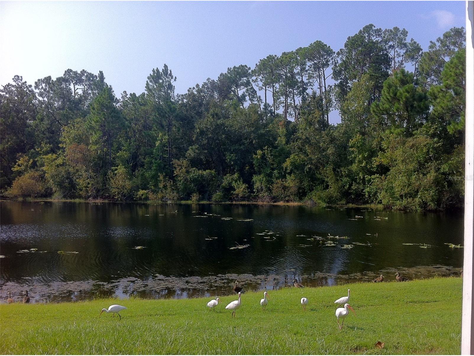2468 Sweetwater Club Circle #111 Kissimmee FL 34746 O6406837 image14