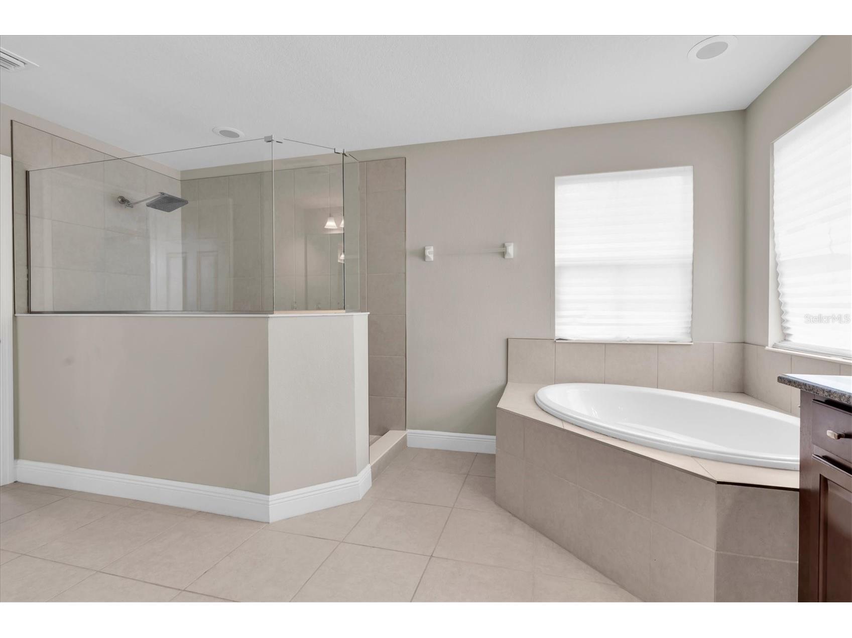 2468 Whittler Branch Odessa FL 33556 W7884343 image25