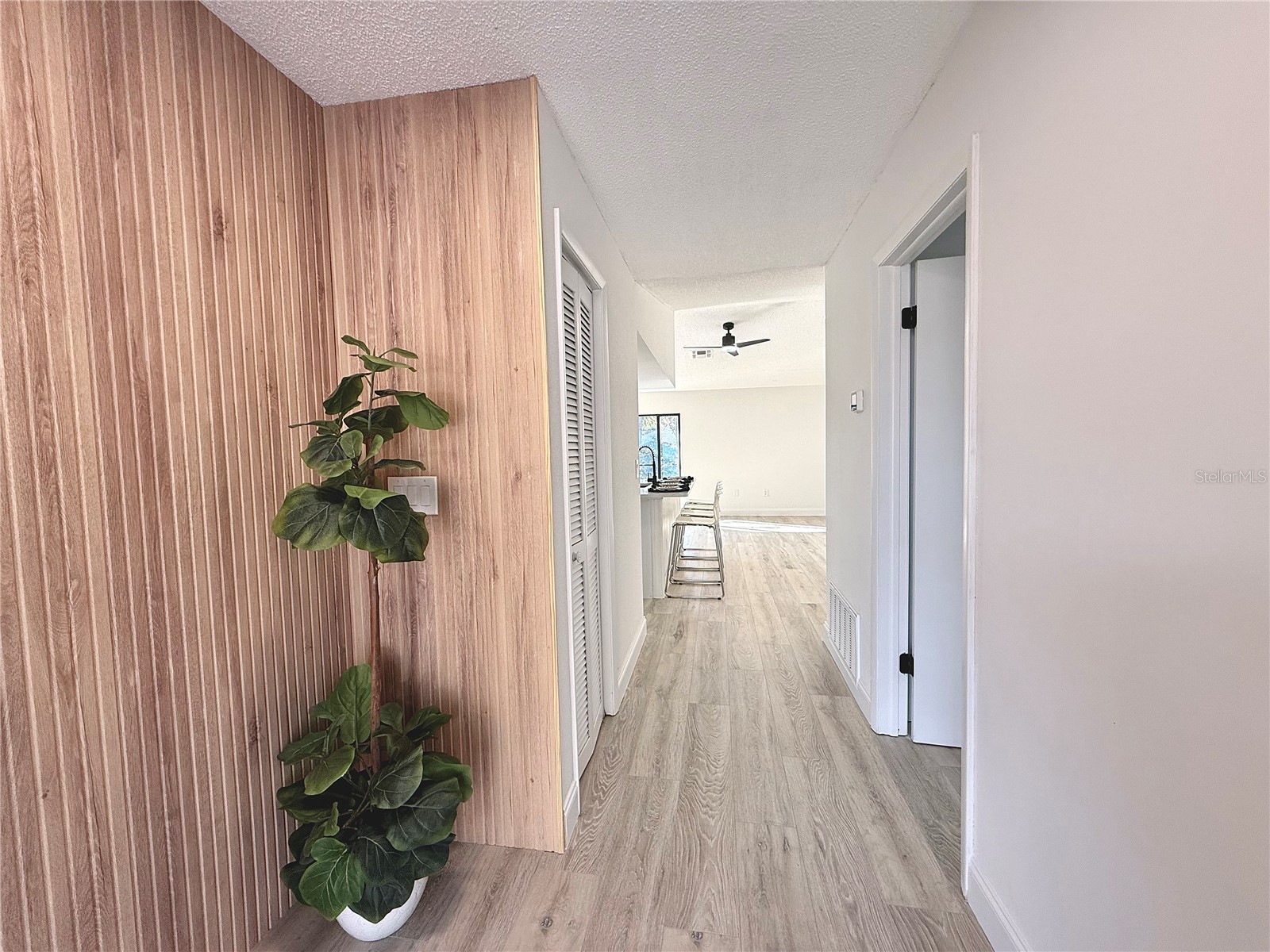 2469 Anchor Avenue Spring Hill FL 34608 TB8477997 image6