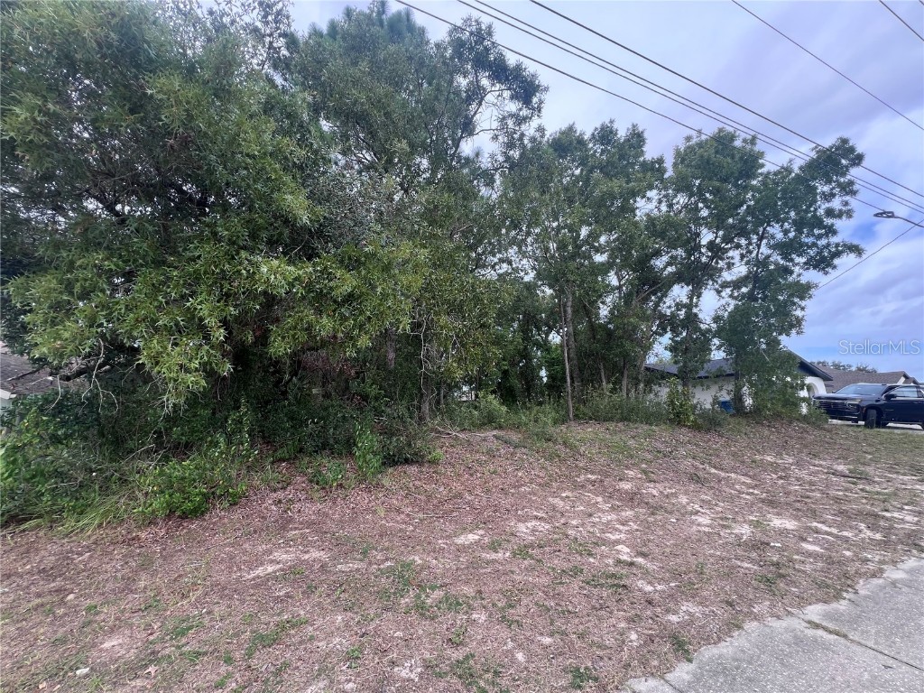 2469 Mariner Boulevard Spring Hill FL 34609 TB8427389 image9