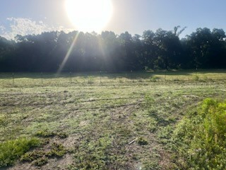 2469 NW 145th Street Citra FL 32113 O6310145 image4