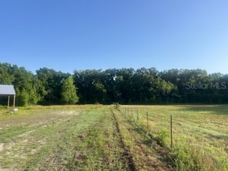 2469 NW 145th Street Citra FL 32113 O6310145 image5