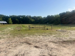 2469 NW 145th Street Citra FL 32113 O6310145 image6