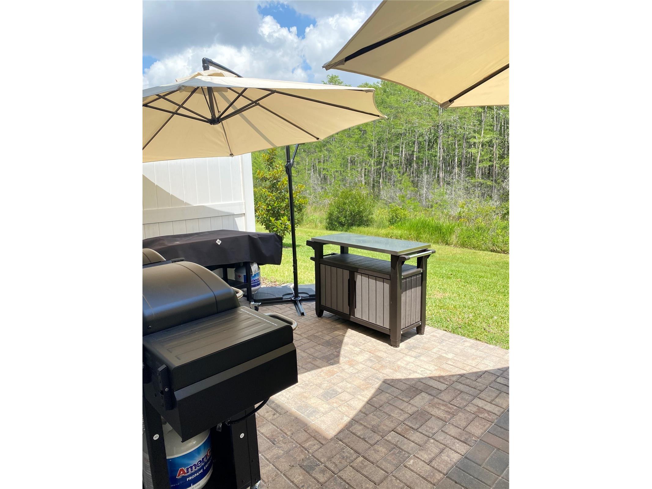 2469 Sedge Grass Way Orlando FL 32824 S5145699 image14