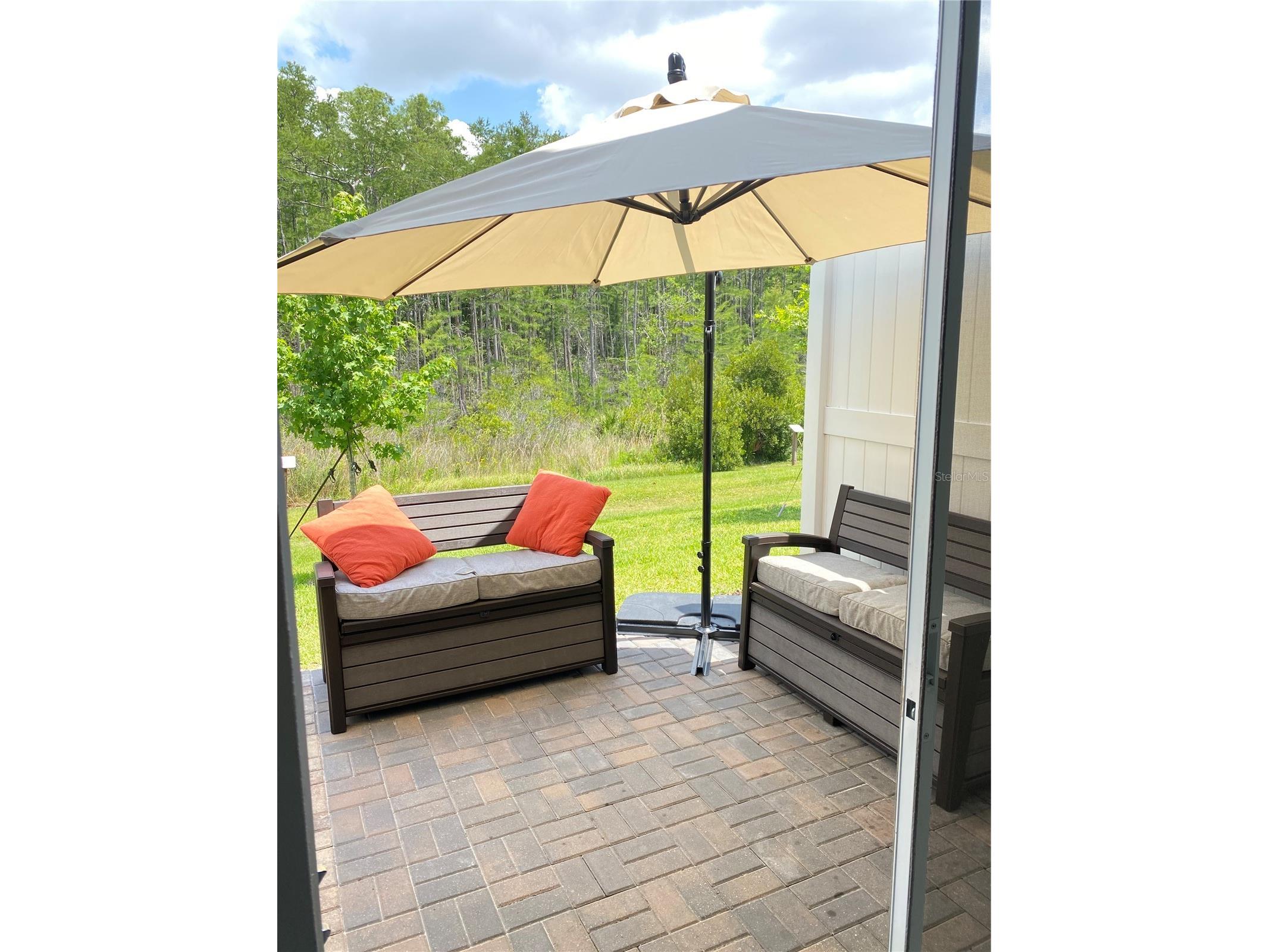 2469 Sedge Grass Way Orlando FL 32824 S5145699 image15