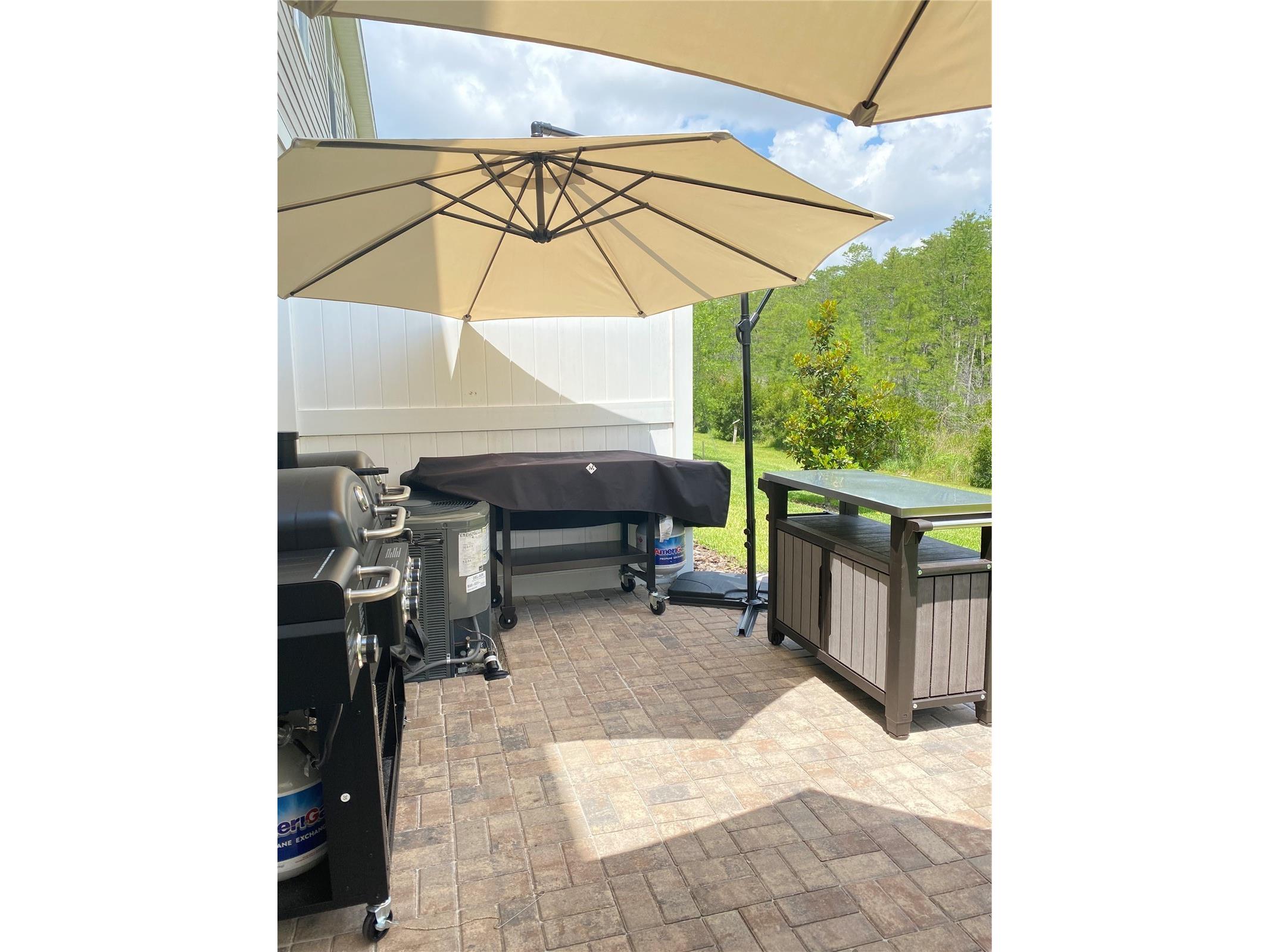 2469 Sedge Grass Way Orlando FL 32824 S5145699 image16
