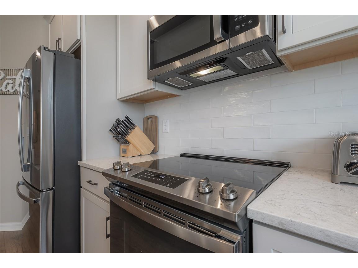 2469 Stapleford Place Wesley Chapel FL 33543 TB8460544 image17