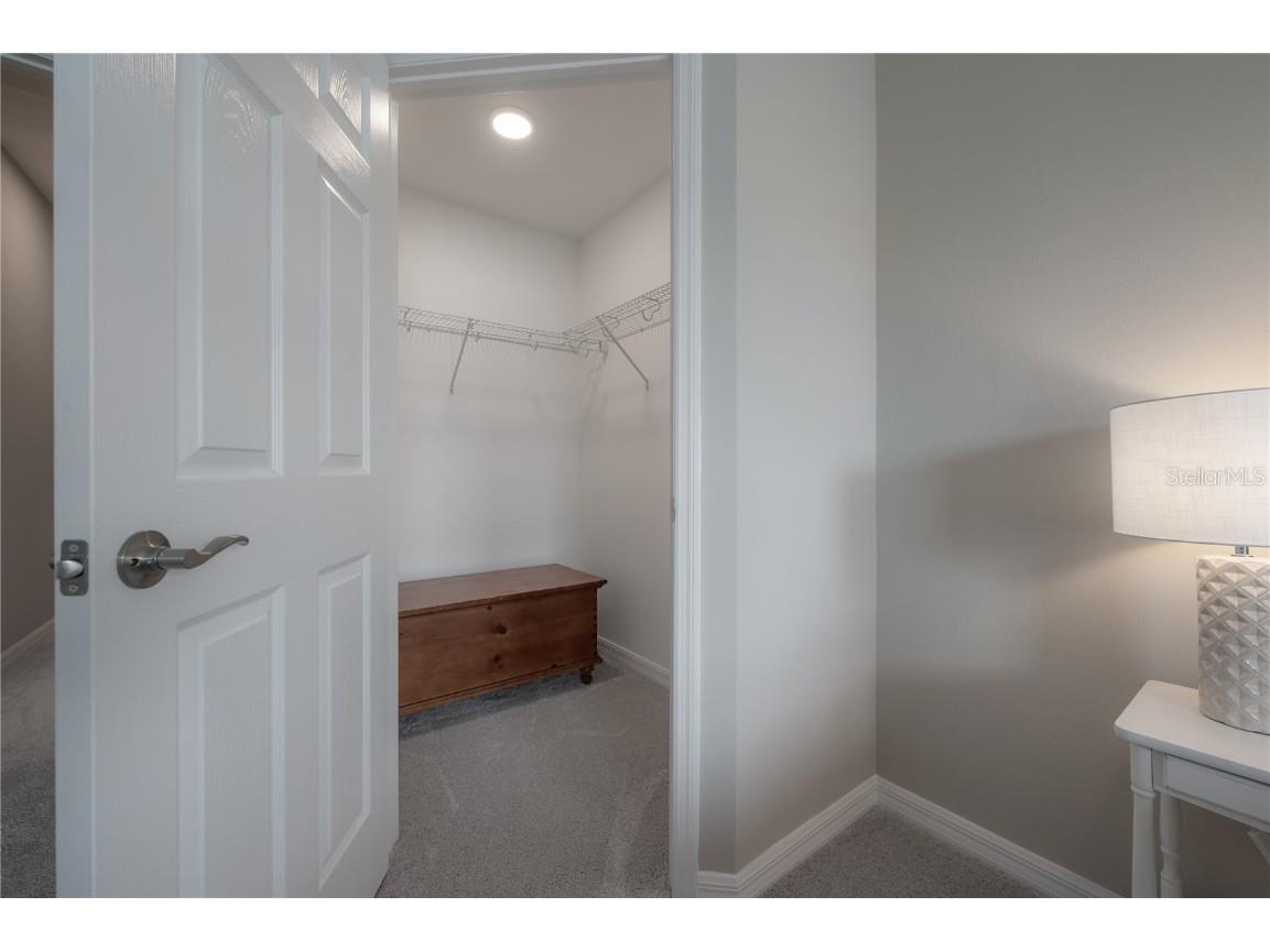 2469 Stapleford Place Wesley Chapel FL 33543 TB8460544 image29