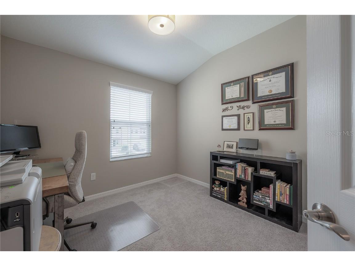 2469 Stapleford Place Wesley Chapel FL 33543 TB8460544 image30