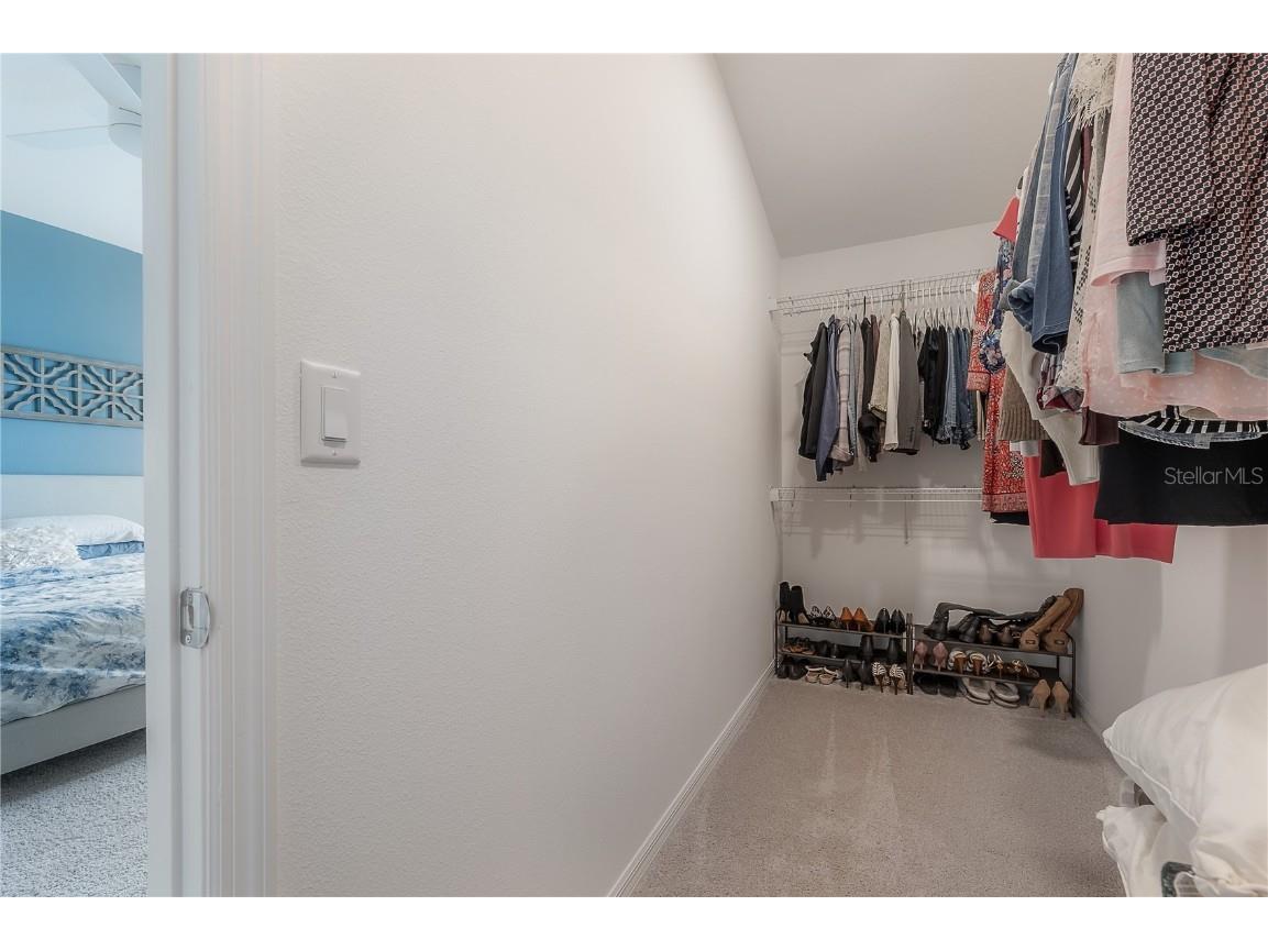 2469 Stapleford Place Wesley Chapel FL 33543 TB8460544 image37