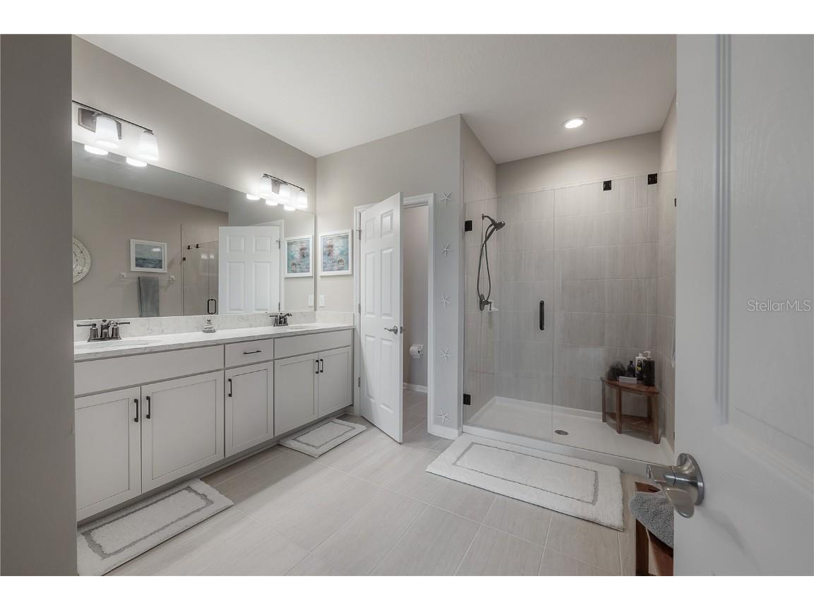 2469 Stapleford Place Wesley Chapel FL 33543 TB8460544 image38