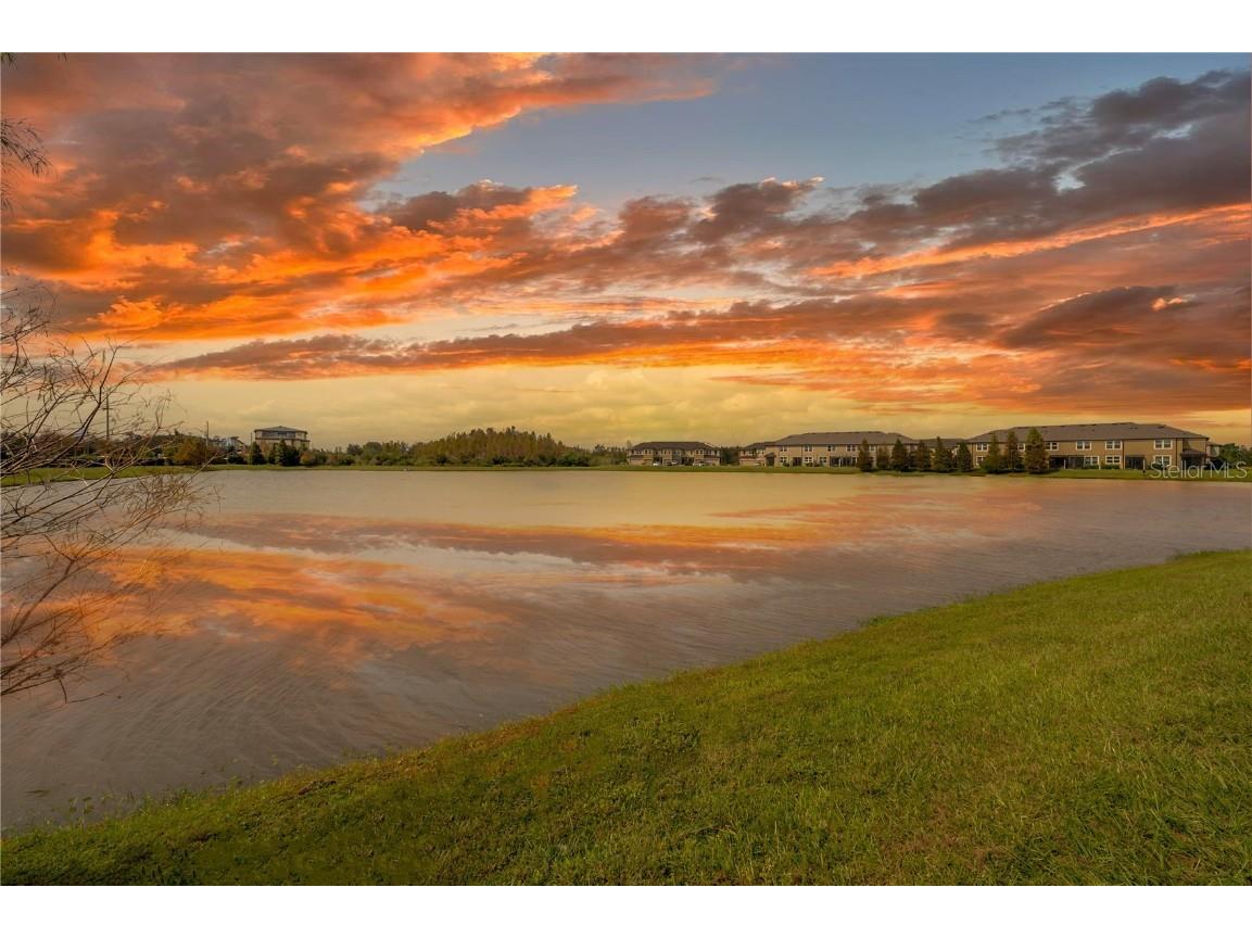 2469 Stapleford Place Wesley Chapel FL 33543 TB8460544 image45