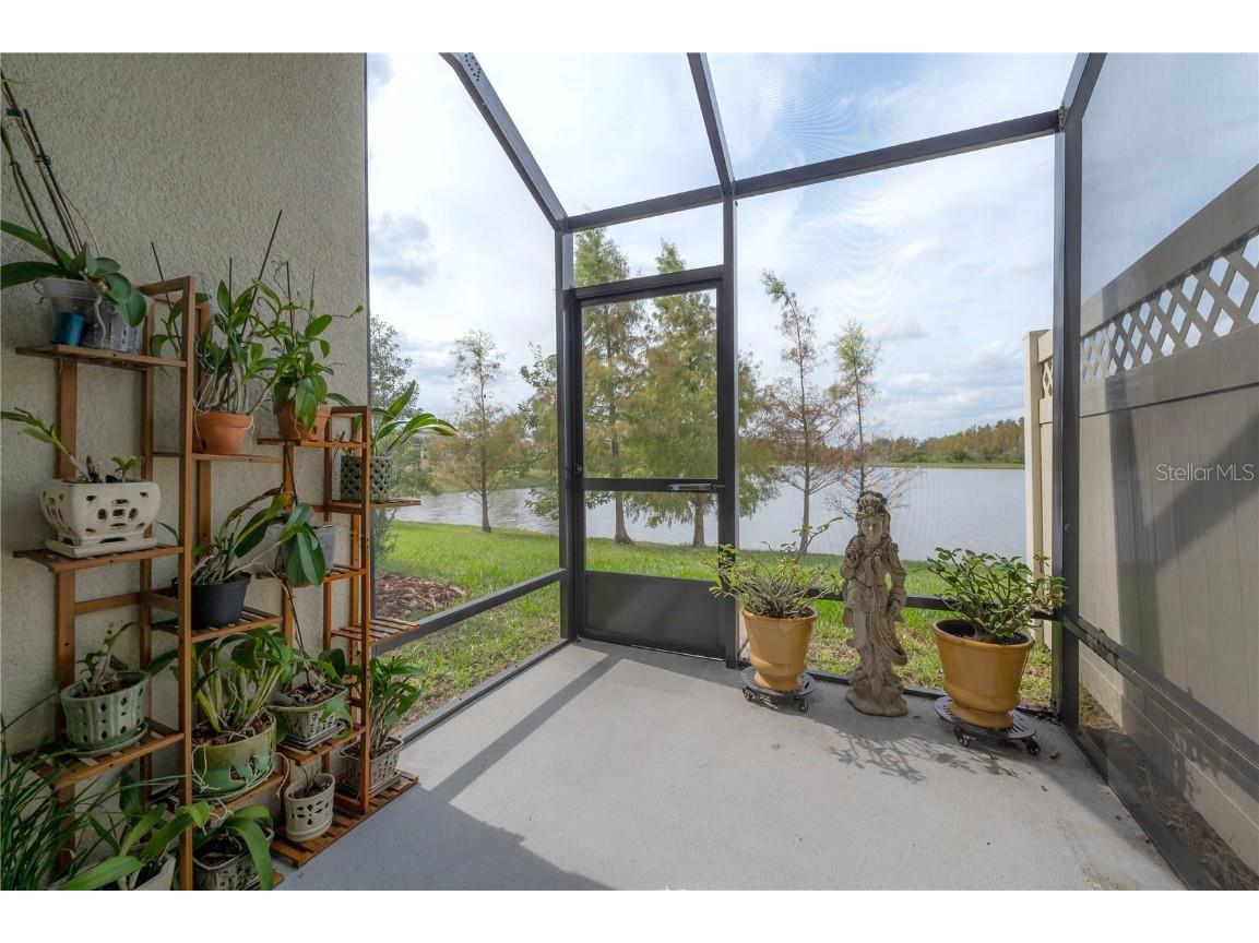 2469 Stapleford Place Wesley Chapel FL 33543 TB8460544 image49