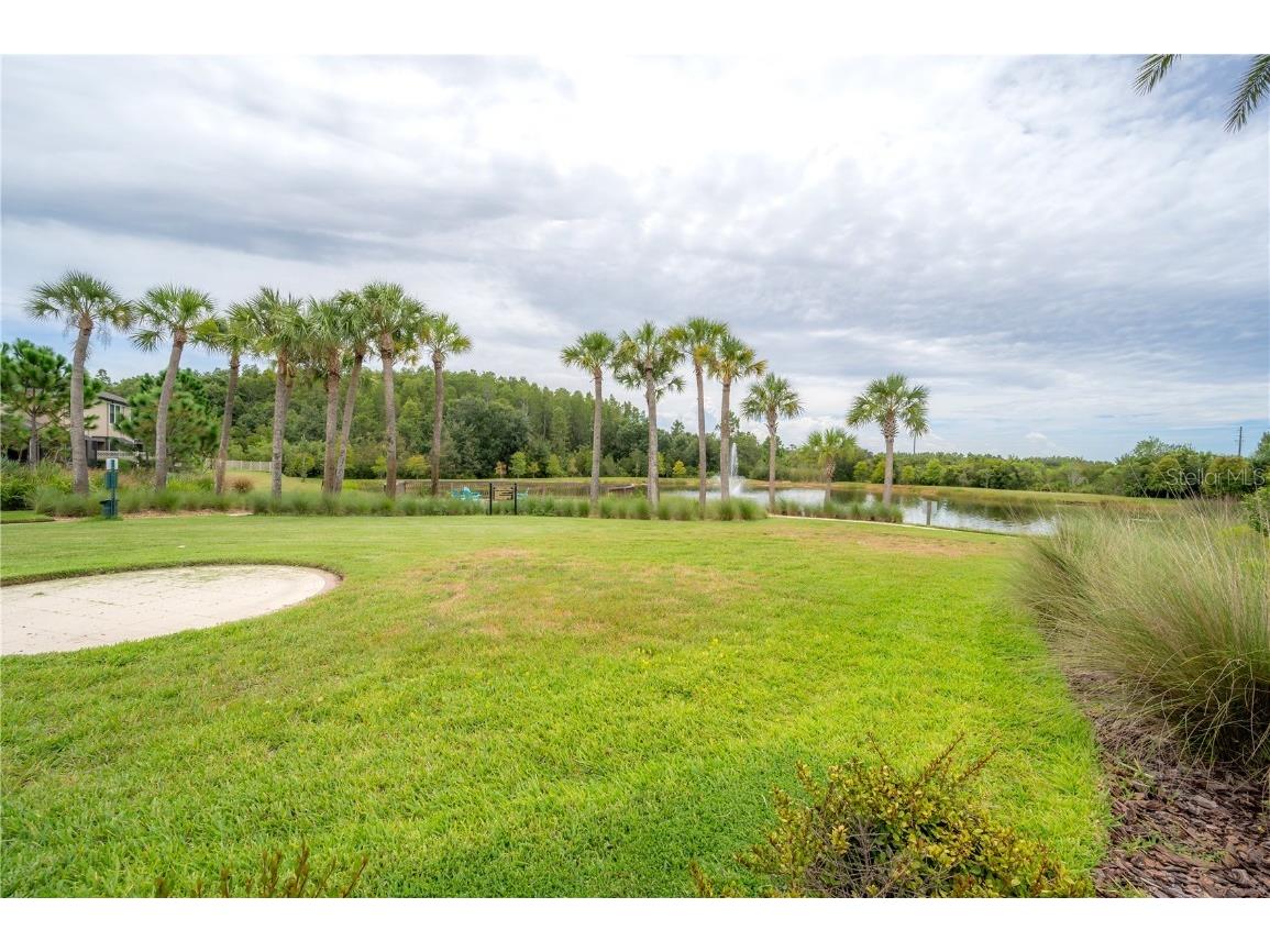 2469 Stapleford Place Wesley Chapel FL 33543 TB8460544 image53