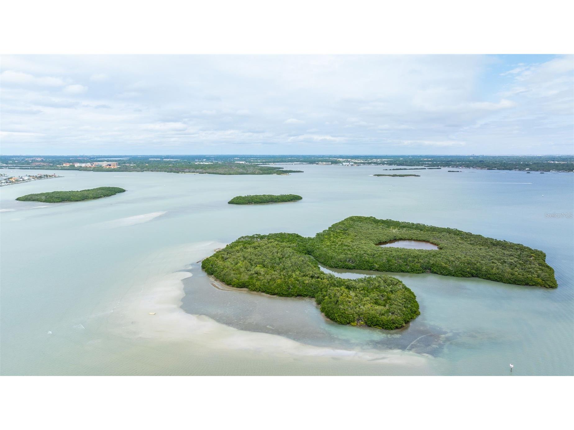 247 126th Avenue Treasure Island FL 33706 TB8467560 image36