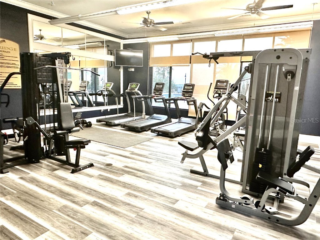 247 Blazing Star Avenue Lake Alfred FL 33850 - 3 LAKES: ALFRED VAN MEDORA P4936109 image23