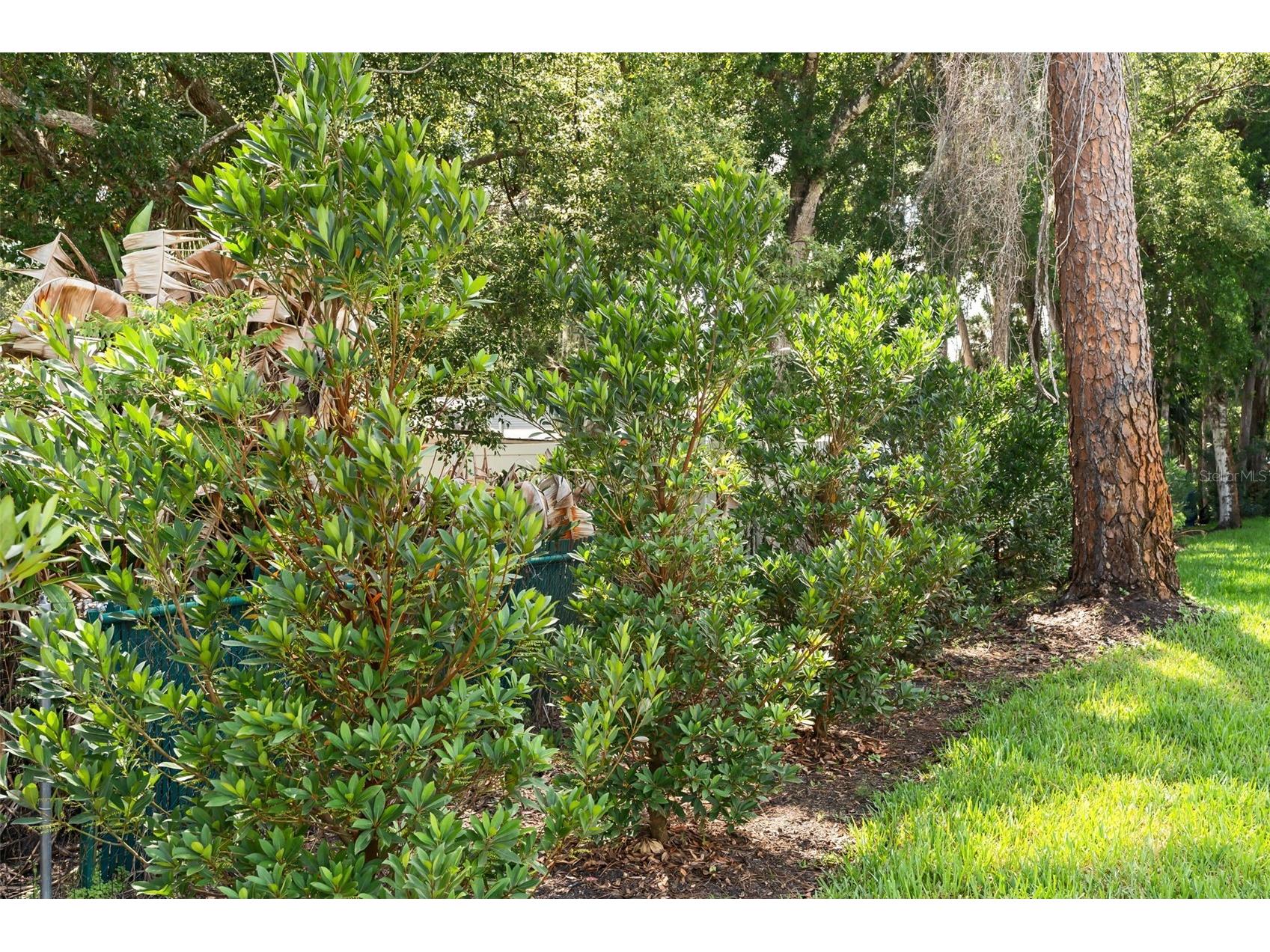 247 Debary Dr Debary FL 32713 O6408733 image32