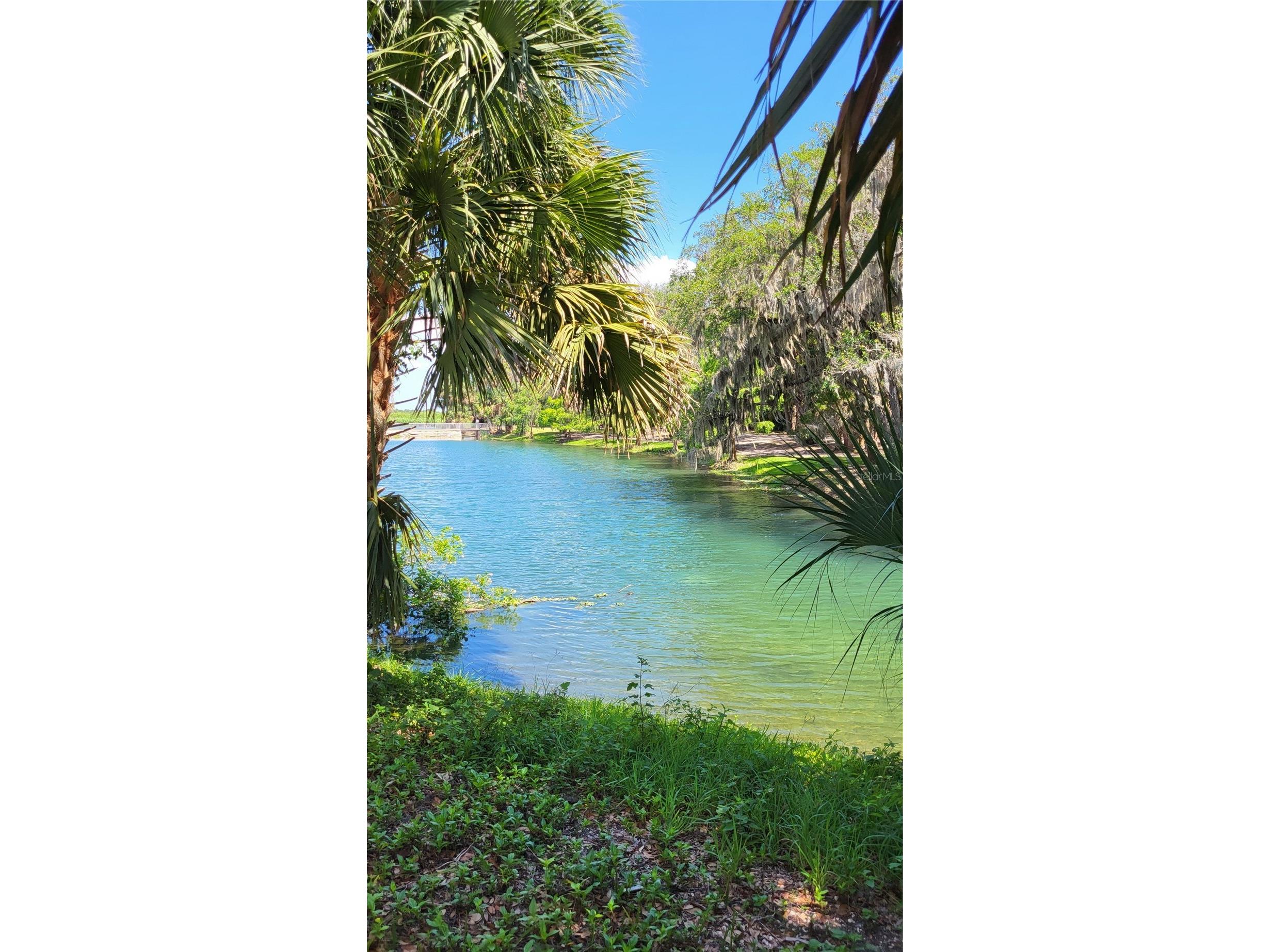 247 Debary Dr Debary FL 32713 O6408733 image41