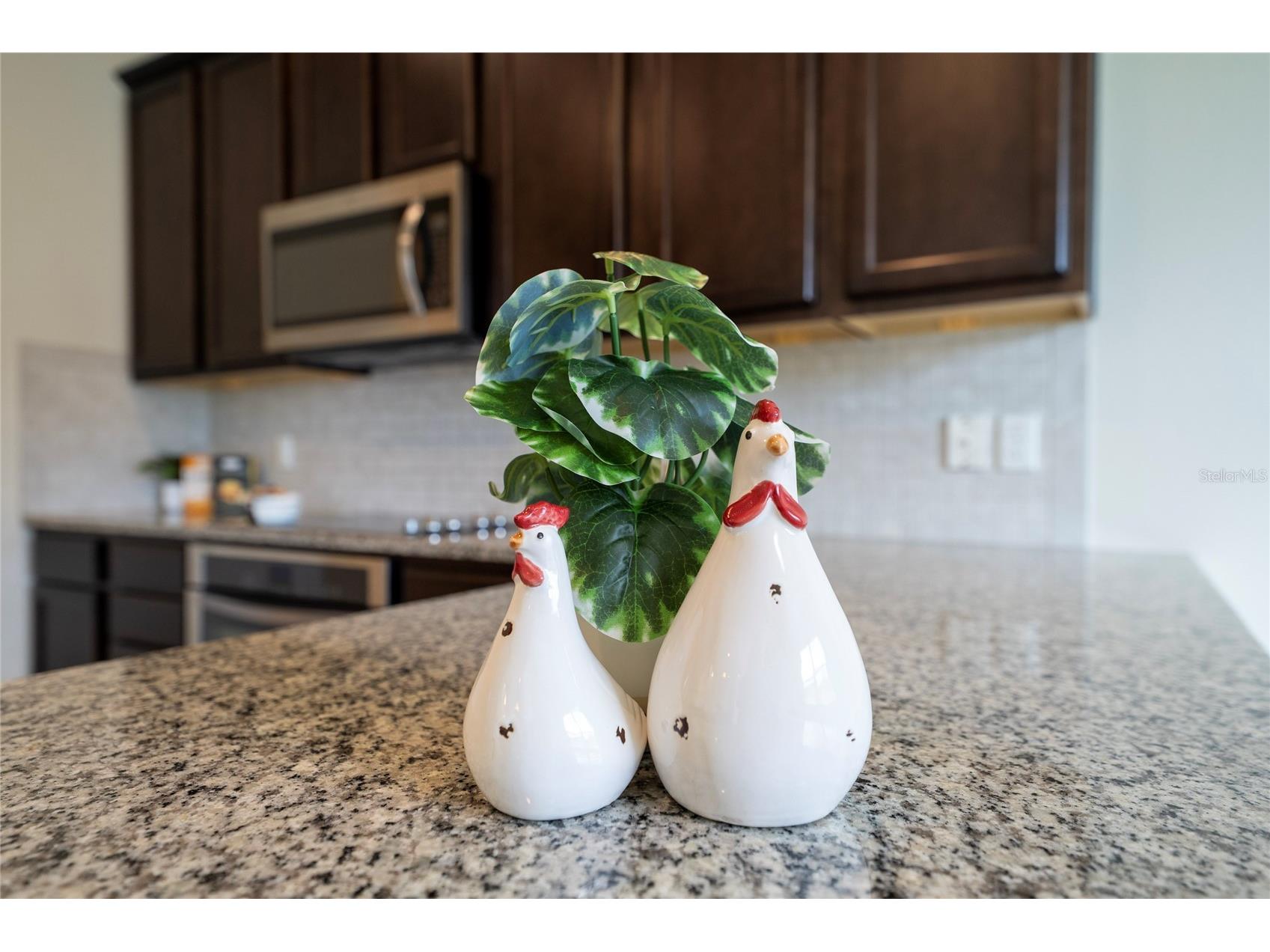 247 Domus Lane Casselberry FL 32707 O6381050 image10