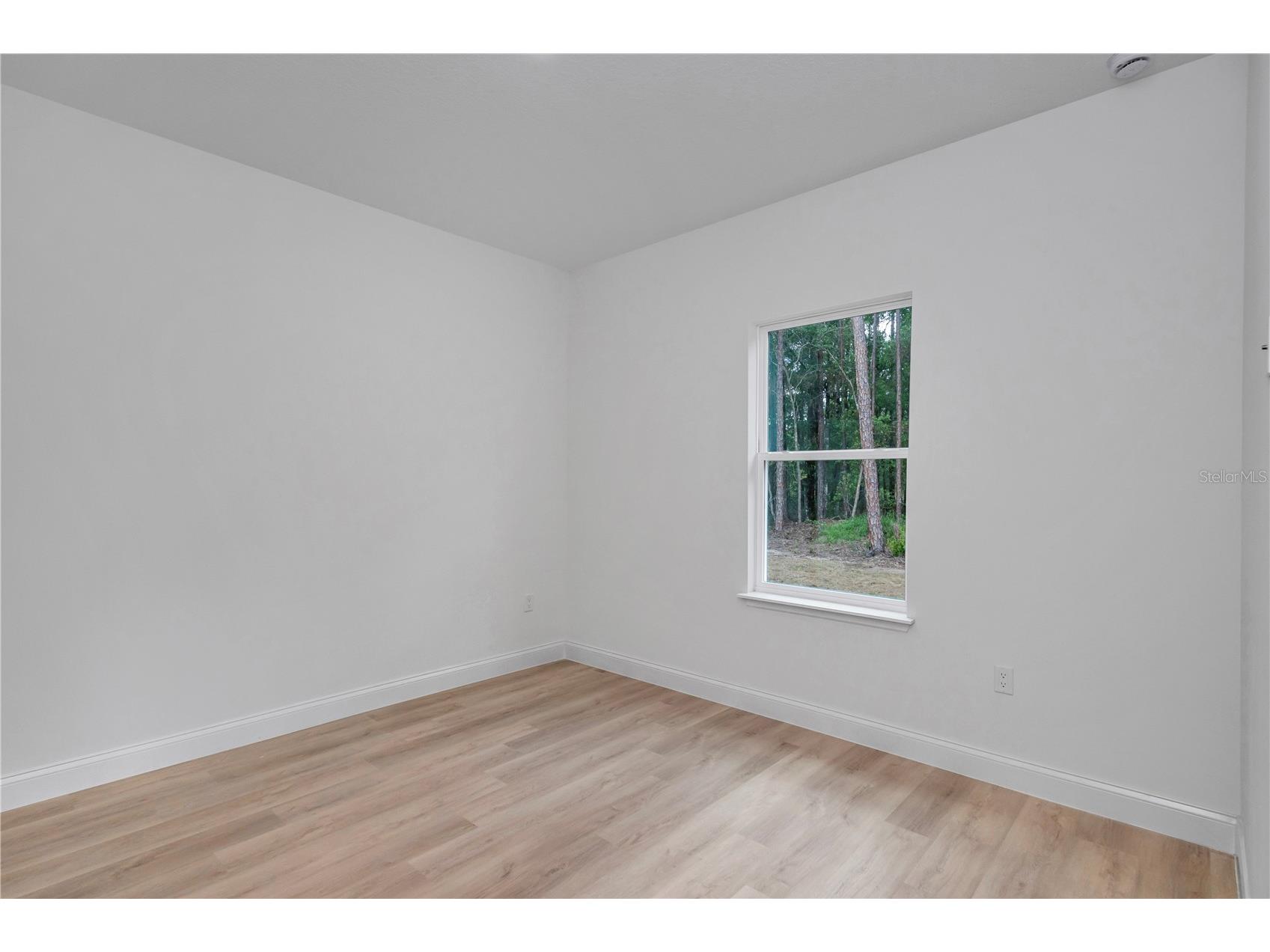 247 E Mc Faddin Place Citrus Springs FL 34434 TB8517685 image22